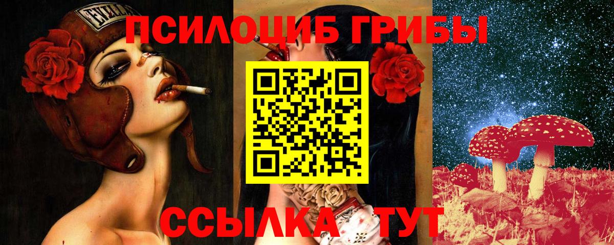 Галлюциногенные грибы GOLDEN TEACHER Невинномысск